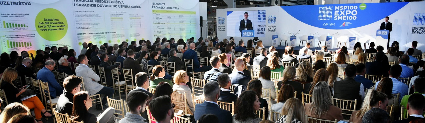 Steps toward more intensive development support for the SME sector in Serbia